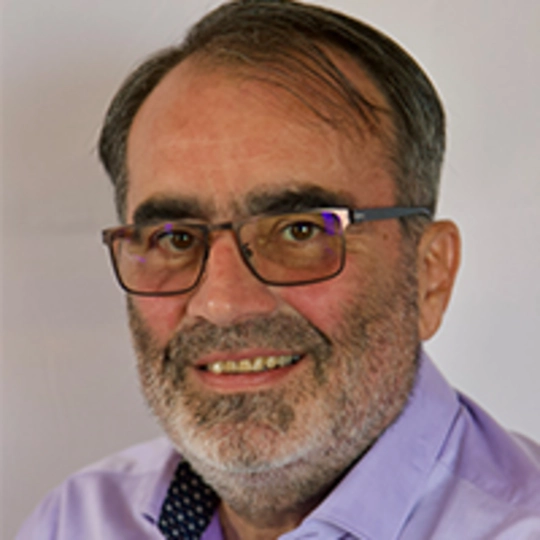 Prof. Roberto Bagnara - University Parma